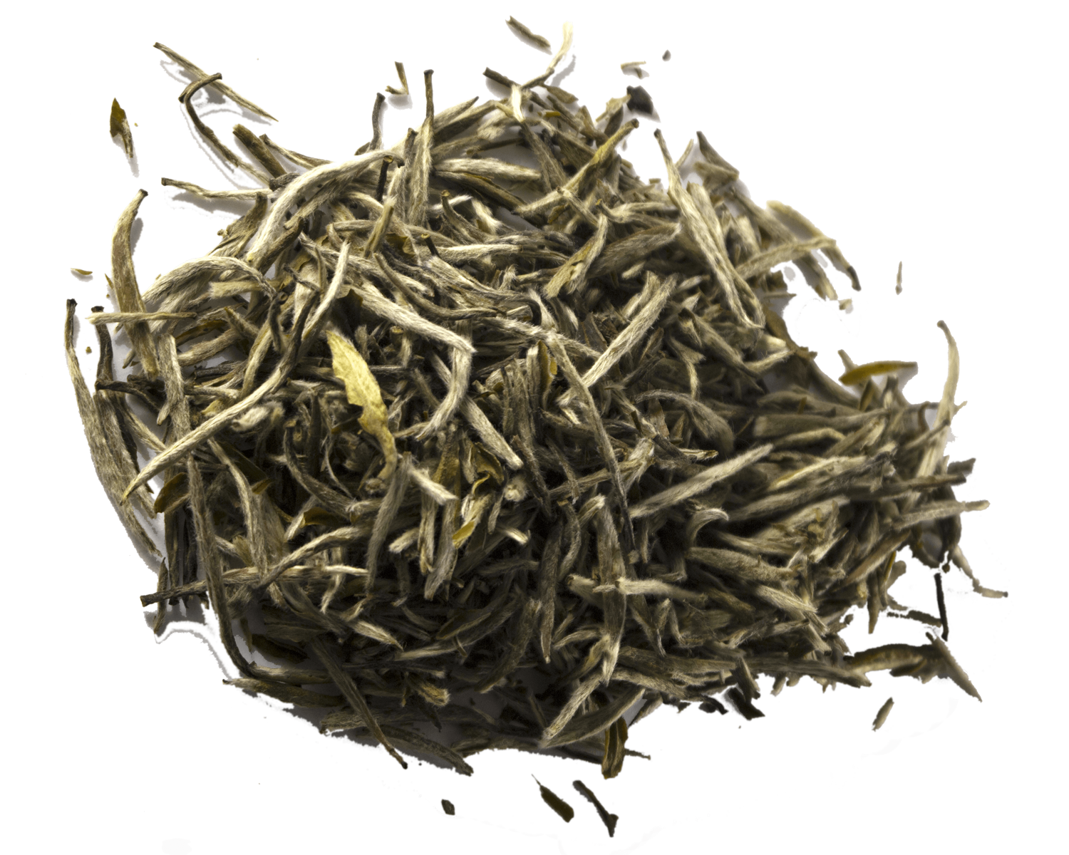 Silver Needle white looseleaf tea from O-Cha
